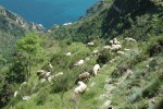 Amalfi-Coast-039.jpg