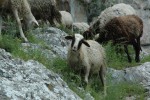 Amalfi-Coast-041.jpg