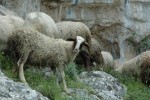 Amalfi-Coast-042.jpg