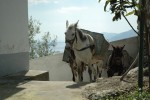 Amalfi-Coast-049.jpg