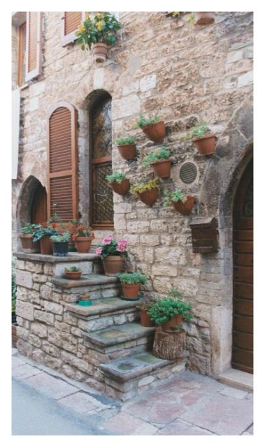 Montalcino-Steps.JPG