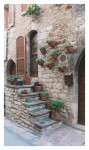 Montalcino-Steps.JPG