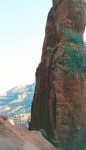 Sedona  Cathedral Rock.jpg
