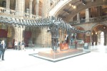 London-001.jpg
