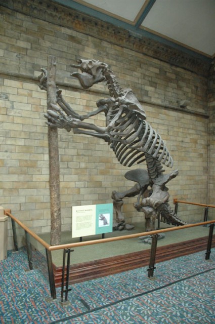 London-002.jpg