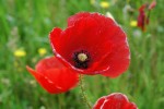 Umbria-021.jpg