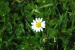 Umbria-022.jpg