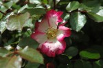 Umbria-026.jpg