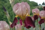 Umbria-029.jpg