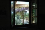 Umbria-052.jpg