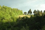 Umbria-068.jpg