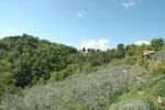 Umbria-070.jpg