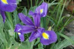 Umbria-074.jpg